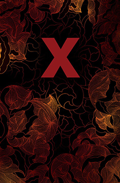 X: The Erotic Treasury book cover