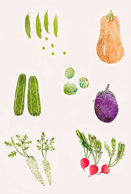 Inspiration of illustrated vegetables
